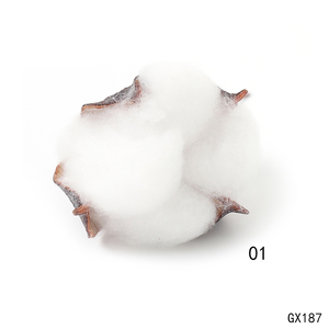 Hot Sale Natural <strong>Cotton</strong> Boll Stalk Single <strong>Stem</strong> Bulk Natural <strong>Cotton</strong> Branch Natural Dried Flowers for Home Decor - Product Image 3