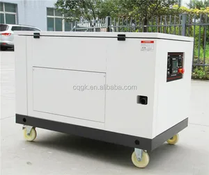 20KW 이중 연료 사일런트 LPG 액체 프로판 NG 천연 가스 발생기 25KVA 20KW