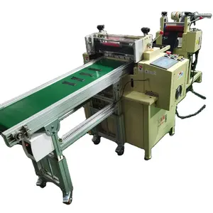 Automatic Feeding Unwinding Roll Electric Tape Cutting Sheet On Conveyor Belt Customized Machine