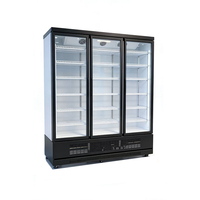 Congélateur vertical commercial à double porte personnalisable