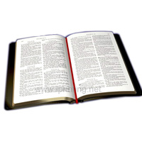 Bible personnalisée en espagnol et en anglais, couverture rigide, avec carton et carton ondulé, impression offset, reliure gaufrée, livre religieux