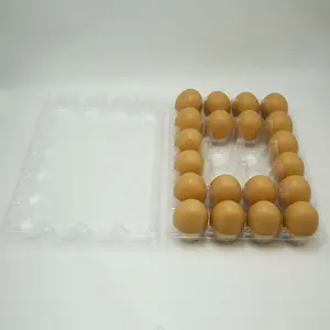 24穴卵トレイPET素材プラスチック卵包装