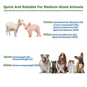 Scanner à ultrasons vétérinaire PH MEDICAL avec sonde légère à affichage de 5.6 pouces Garantie 1 an-Prix - Product Image 3