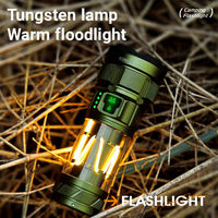 Lampe torche UV en alliage d'aluminium, étanche, puissante, rechargeable 5000mAh, LED, pour le camping