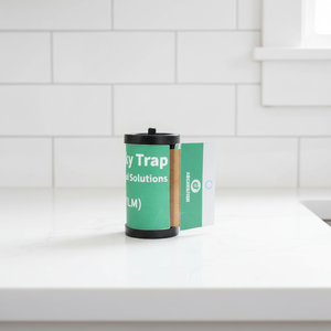 Superkleverige vliegenvanger, milieuvriendelijk, waterdicht, anti-UV, vliegenstrips, eenvoudig te gebruiken, voor keuken, restaurant, boerderij, schuur - Product Image 2