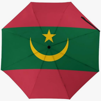 Parapluie pliant entièrement automatique, motif drapeau marocain, couleurs vives et nettes, style culturel, thème pays