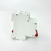Disjoncteur miniature série CNXE, matériau PA66, capacité 6-63A, pouvoir de coupure 6kA, certifié CE, montage sur rail, 2P