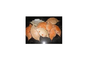 Concha de cangrejo seca para uso agrícola Rellena o servida en platos agrícolas - Product Image 1