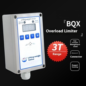 Cần cẩu Chất lượng cao nâng tải giới hạn Palăng điện quá tải Trọng lượng giới hạn - Product Image 5