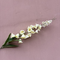 Bunga Lonceng Angin Buatan Batang Panjang Bunga Lily of the Valley Bunga Convallaria Majalis Putih Buatan