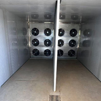 Máquina Secadora de Frutas Industrial de Aire Caliente, Equipo de Secado de Vegetales, Deshidratador de Acero Inoxidable