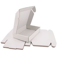 Emballage personnalisé OEM YOUNGS en carton blanc sur mesure, emballage imperméable avec doublure en éponge, papier kraft, carton pour envoi postal, laminage mat