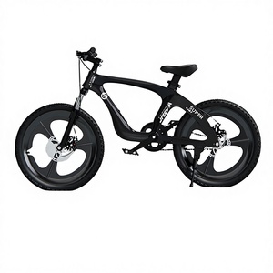 Bicicletas de Montaña de Lujo para Niños, Cuadro de Aleación de Magnesio, Rueda de 20 Pulgadas, Capacidad de Carga de 150 kg, Sistema de Frenos de Disco para Niños de 6 a 12 Años, Una Sola Velocidad - Product Image 3