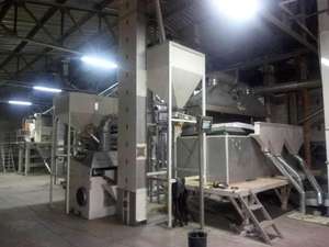 High Quality Raw Lemongrass <b>Herb</b> Directly Processed From Our Farm with Fast Delivery Popular in Egypt Factory Supervision - Product Image 5