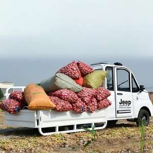 Nuevo Vehículo Eléctrico de Cuatro Ruedas Totalmente Cerrado con Batería de Iones de Litio Ternaria, Autonomía de 101-200 km, Camioneta de Pasajeros y Carga para Adultos - Product Image 6
