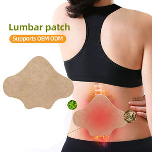 허리 통증 완화 패치-허리 근육통을위한 허브 열 석고 - Product Image 5