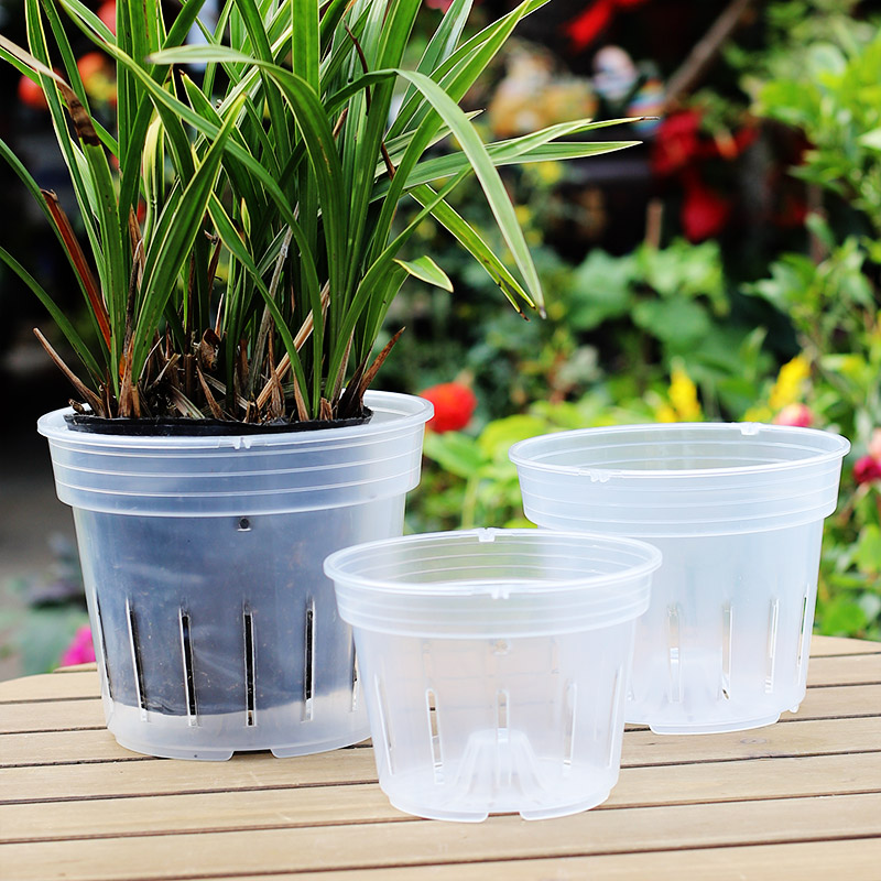 Transparent vertical orchid basin