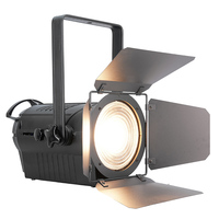 Projecteur LED Fresnel professionnel 200W zoomable, rendu des couleurs élevé Ra97, température de couleur bicolore réglable 2700K-6500K
