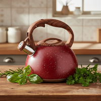 Bouilloire sifflante en acier inoxydable de 2,7 litres avec fond simple pour cuisinière, écologique, compatible lave-vaisselle, usage domestique, capacité 3L