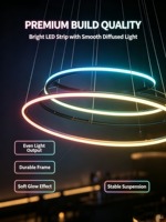 Anneau lumineux néon circulaire suspendu à changement de couleur RVB, contrôlé par DMX, pour mapping de scène, idéal pour bars et discothèques