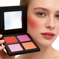 Palette de maquillage pour le visage en poudre minérale imperméable, multi-couleurs, personnalisable avec étiquette privée, pour tous les types de peau