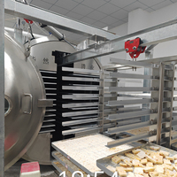Vriesdroogmachine voor snoep, fruit, groenten en dehydratatie