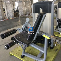 Machine de musculation commerciale YG-6015 pour exercices de flexion et extension des jambes assis