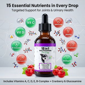 Integratore Multivitaminico 15 in 1 <span class=keywords><strong>per</strong></span> <span class=keywords><strong>Gatti</strong></span>, Supporta la Salute Immunitaria, della Pelle, del Cuore, delle Articolazioni e delle Ossa, Gocce Liquide <span class=keywords><strong>per</strong></span> Animali Domestici - Product Image 3