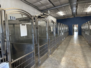 Perreras grandes de acero inoxidable para perros, puertas de vidrio y paneles de HDPE, perrera personalizada para caminar - Product Image 4