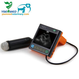 YSB-U3V Ysenmed animaux échographie <span class=keywords><strong>secteur</strong></span> sonde de balayage échographie médicale pour animaux de compagnie échographie vétérinaire portable - Product Image 4