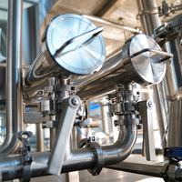 Machine de production de bière allemande à vapeur artisanale Tiantai 3000L à vendre