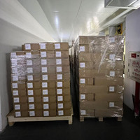 Rouleau de papier film DTF 30cmx100mètres, 2 rouleaux/boîte, design cool, vente en gros, impression jet d'encre par transfert thermique, en stock, expédition rapide en 1 jour