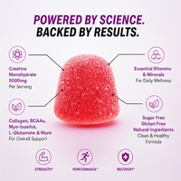 Gummies de Créatine Monohydrate pour Adultes, Suppléments Sportifs Halal 5000mg, Saveur Fraise, 60 Unités, Gestion du Poids