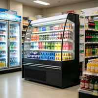 Réfrigérateur à écran noir à économie d'énergie, double rideau d'air, refroidisseur ouvert multi-niveaux pour épicerie