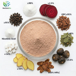 NuCoreBio OEM Marque Privée 40% Icariine Betterave Ginseng Rouge Coréen Triple Adaptogène Extrait Herbal 30 Sachets Oxyde Nitrique - Product Image 1