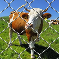 Clôture de ferme de haute qualité en fil de fer tissé galvanisé à chaud avec articulations à charnière pour la sécurité du bétail