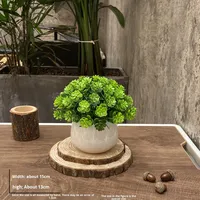 Ornements de plantes vertes pour la maison, l'hébergement, la salle de conférence, le bureau, mini décorations en pot, fleurs en pot