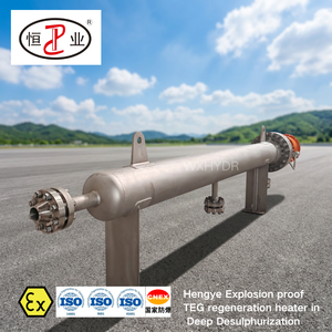 Préchauffeur de <span class=keywords><strong>gaz</strong></span> combustible 270 kW pour systèmes auxiliaires de turbines à <span class=keywords><strong>gaz</strong></span>, chauffages électriques en ligne antidéflagrants pour le <span class=keywords><strong>chauffage</strong></span> du <span class=keywords><strong>gaz</strong></span> de process - Product Image 2