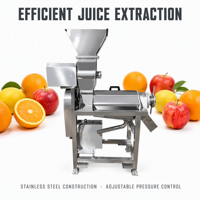 Fruit- en groentepers, sapcentrifuge, roestvrij staal, koude pers, spiraalpers, hoge productiviteit, commerciële motor, fruitverwerkingsinstallatie