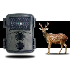 Vendita calda FHD 1080P Mini Trailcam impermeabile visione notturna Outdoor Forest Camera 12mp caccia Trail Camera