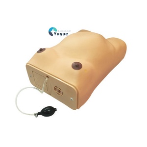 Simulador de Examen Obstétrico <span class=keywords><strong>y</strong></span> de Enfermería Materna - Herramienta de Entrenamiento de <span class=keywords><strong>Ginecología</strong></span> <span class=keywords><strong>y</strong></span> Partería para Práctica Clínica - Product Image 1