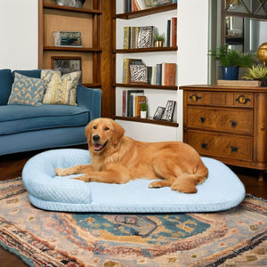 Hunde kühl matratze Memory Foam Wasch barer Stoff bezug Mittelgroße Hunde Katzen Abnehmbare Zwinger Pad Haustier bett - Product Image 4