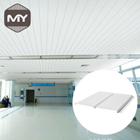 Paneles de Techo Decorativos Modernos de Aluminio, Sistema de Bafles Suspendidos, Revestimiento Metálico Lineal, Insonorizado, Ignífugo, para Gimnasios Exteriores