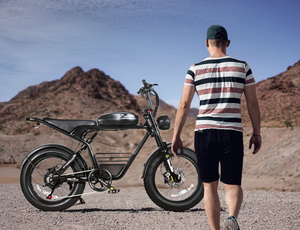 Factory wholesale 48V Dual motor dual battery Electric Fat Tire Bicycle OEM ebike - Product Image 6