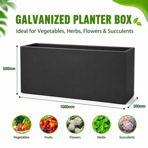 Jardinière rectangulaire en métal galvanisé de 1000 mm de long pour légumes, herbes, fleurs et succulentes - Product Image 1
