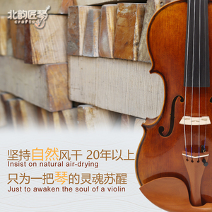 Violon d'étude CHENTUO CT2.6 pour débutant, table en épicéa massif, flancs en érable, touche en ébène, contreplaqué en fibre de carbone, 4 cordes, étui en bois - Product Image 3