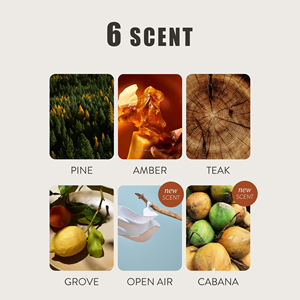 ที่หนีบโลหะรูปตัวยู SOCELI สำหรับน้ำหอมปรับอากาศในรถยนต์ กลิ่นหอมแบบเปิดโล่ง สไตล์โมเดิร์น รับทำโลโก้ ราคาโรงงาน - Product Image 6