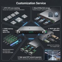 Nuevo Servidor en Rack HPE ProLiant DL325 Gen11 1U, AMD EPYC 9124 de un Solo Socket, 32GB DDR5 NVMe, Virtualización, Servidor en Rack para la Nube