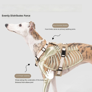 Harnais pour chien anti-traction avec clip frontal réglable, boucle métallique anti-évasion, rembourré en <span class=keywords><strong>maille</strong></span> respirante, pour la marche et l'entraînement, disponible en tailles S, M, L - Product Image 3