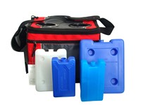 Bloc de glace en gel non toxique pour la livraison ou le stockage d'aliments frais, boîte à glace en HDPE, bloc de glace, brique réfrigérante